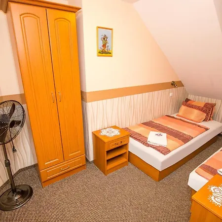 Bed & Breakfast Tinodi Fogado 3*