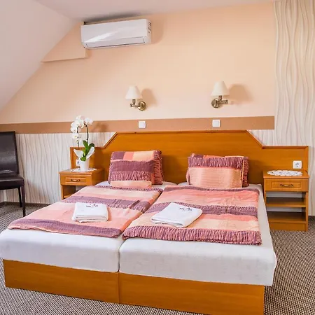 Bed & Breakfast Tinodi Fogado