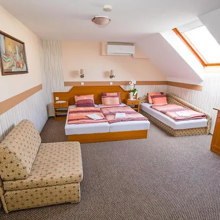 Bed & Breakfast Tinodi Fogado 3*
