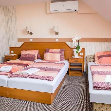 Tinodi Fogado Bed & Breakfast