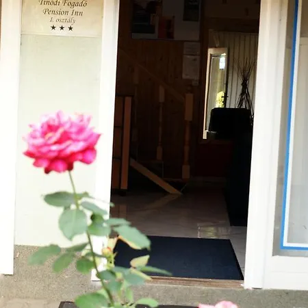 Tinodi Fogado Oda ve Kahvaltı 3*