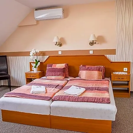 Oda ve Kahvaltı Tinodi Fogado