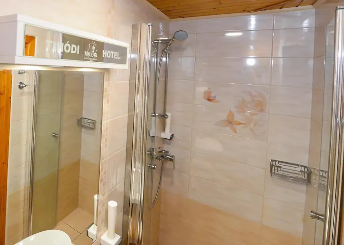 Tinodi Fogado B&B 3*