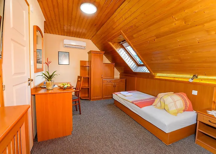Tinodi Fogado B&B 3*